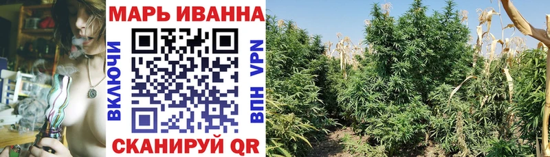 Марихуана SATIVA & INDICA где продают Тимашёвск